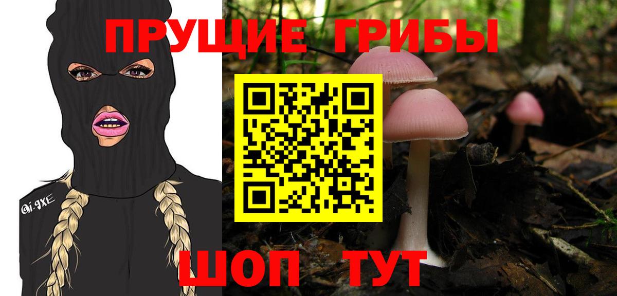 Галлюциногенные грибы Magic Shrooms Реутов
