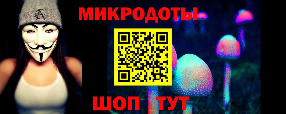 Галлюциногенные грибы Psilocybe  где найти   Вход с VPN  Реутов  Псилоцибиновые грибы Cubensis 